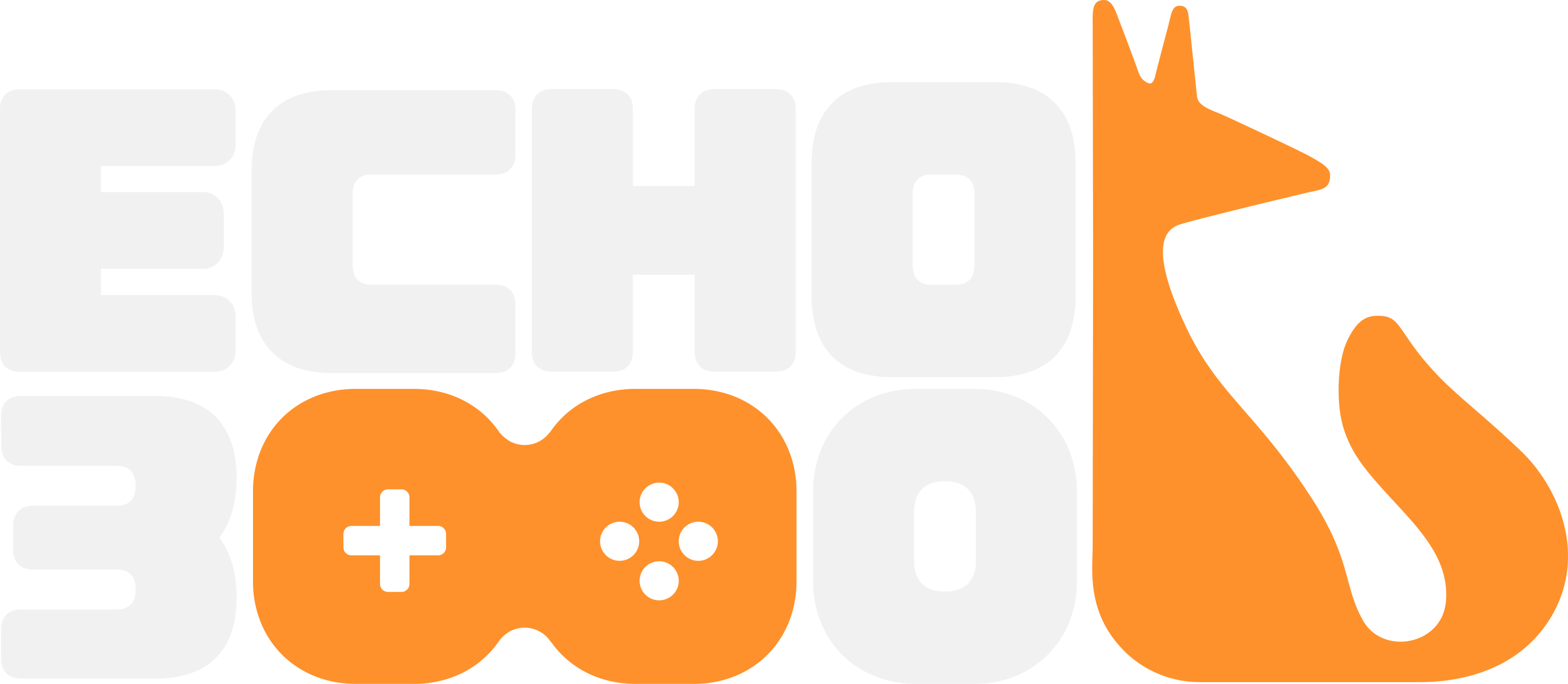 echo300 logo